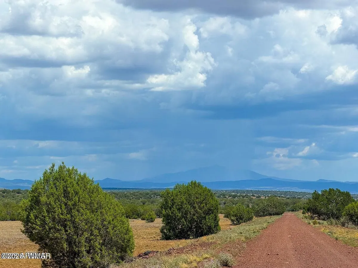 Red dirt road leading toward the parcels with junipers and distant mountains under a cloudy sky