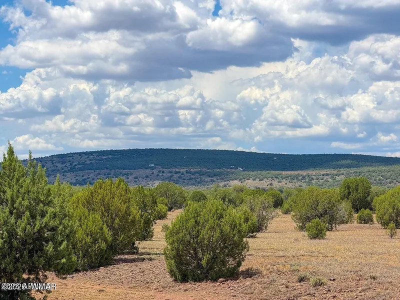Open grassland with scattered junipers on the parcel and a juniper-covered ridge beyond