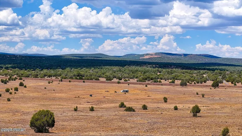 Wide view across the open parcel with juniper hills on the horizon