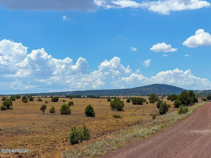 Dirt road along the parcel edge with junipers and a low mesa in the distance