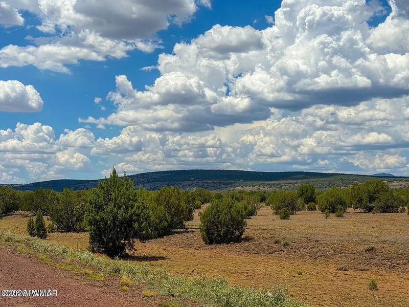 Scattered junipers and grass on the parcel under summer cumulus clouds