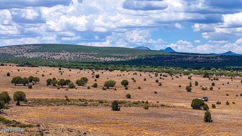 Open flats of the parcel looking toward a distant butte with juniper hills behind