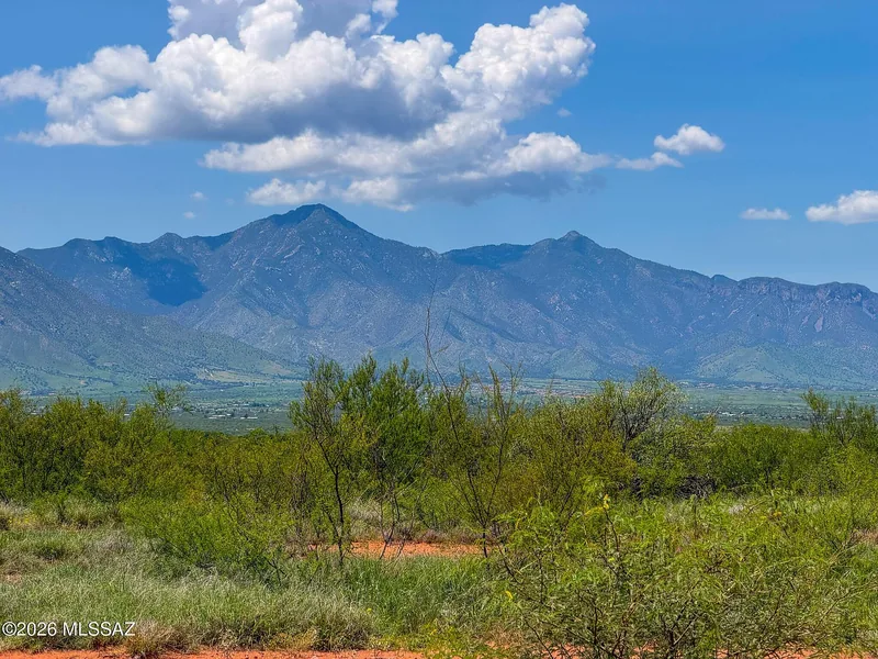Mesquite and grassland on the parcel with the Huachuca Mountains and summer clouds behind