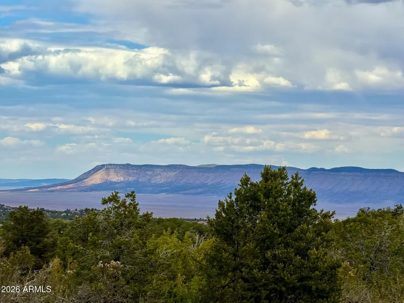 View from the property over the juniper flats to distant mesas under a cloudy sky