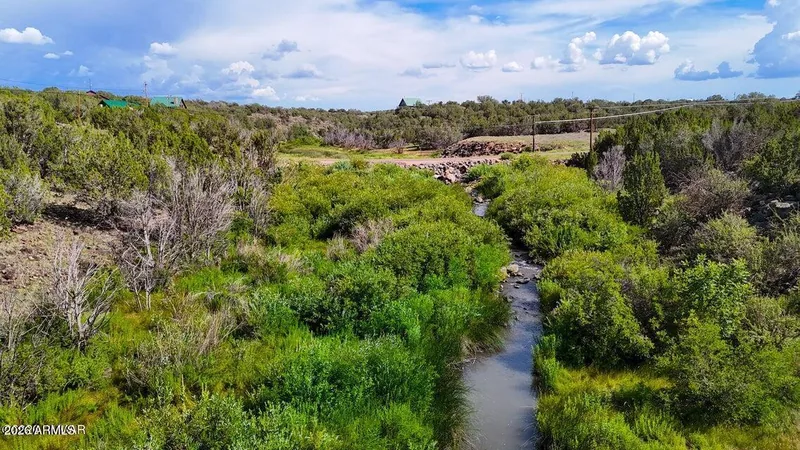 Silver Creek running through green willow and cottonwood bottomland below the lot, seen from above