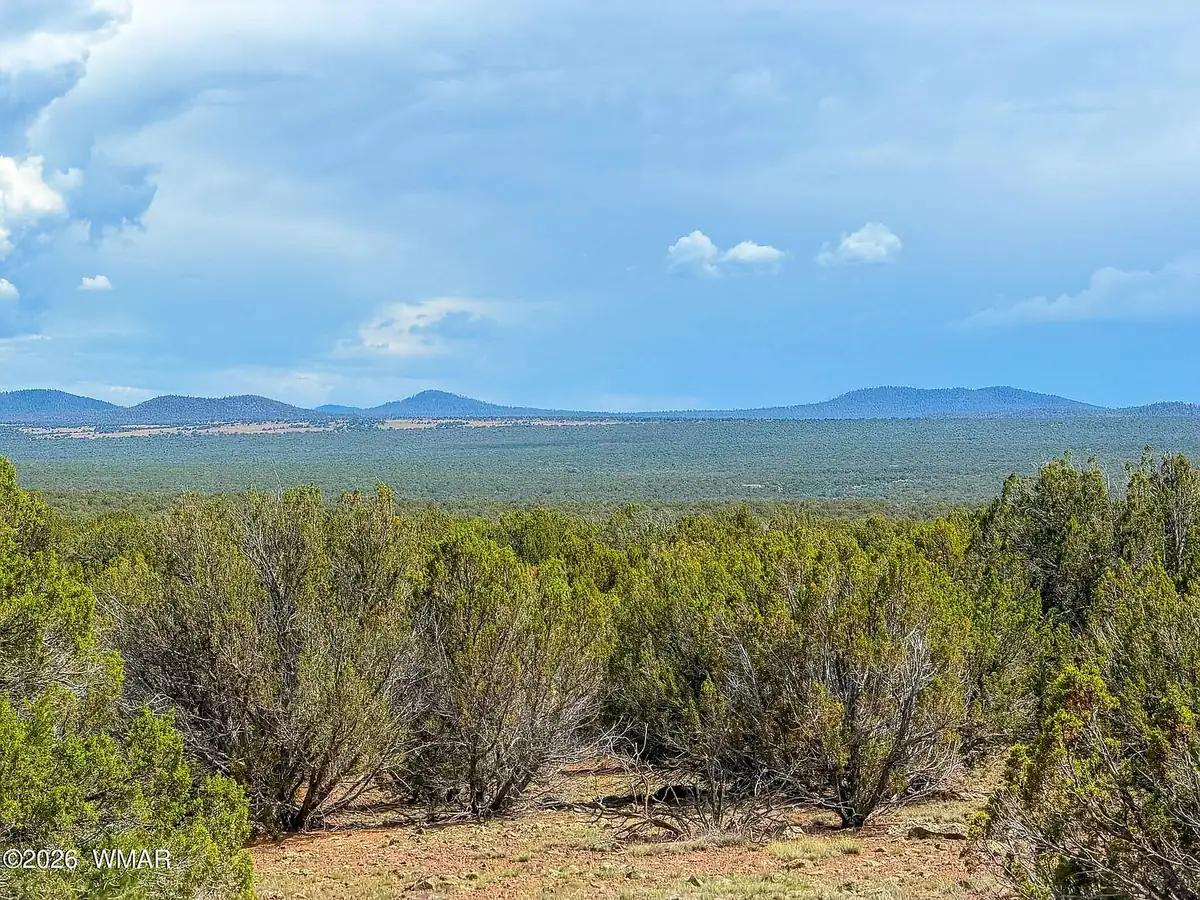View from the Gample Lane lots over pinyon and juniper toward distant buttes on the horizon