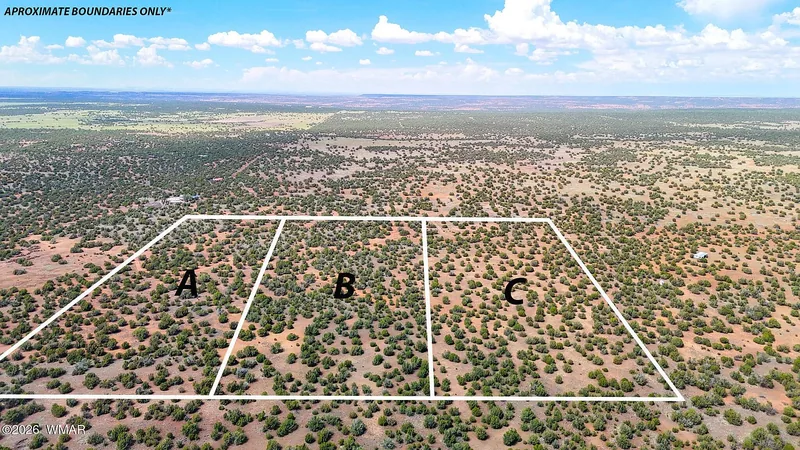 Aerial view of lots A, B and C outlined in white over pinyon-juniper woodland, approximate boundaries only