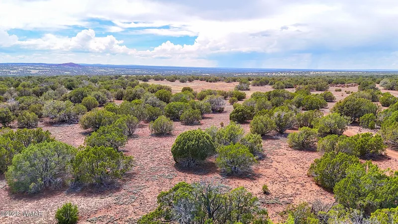 Aerial view over the juniper-dotted lots with the flat plateau horizon beyond