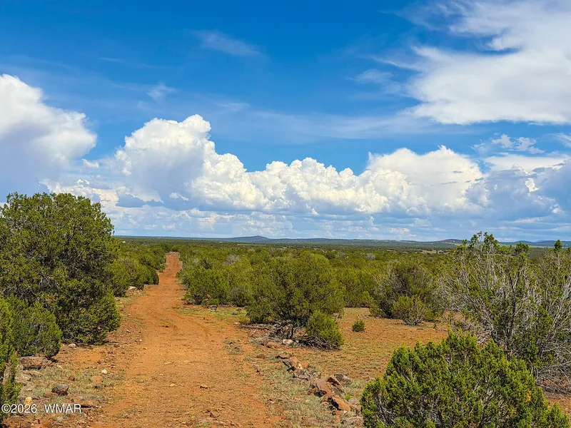 Red-dirt two-track road running through juniper toward the lots under summer clouds