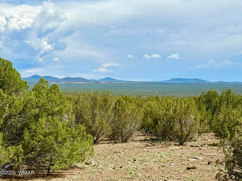 Storm clouds over the juniper flats with the White Mountains on the horizon