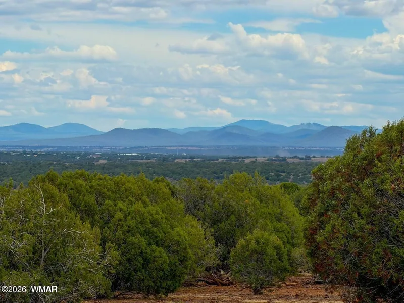 Juniper and pinyon on the parcel with the distant White Mountains on the horizon