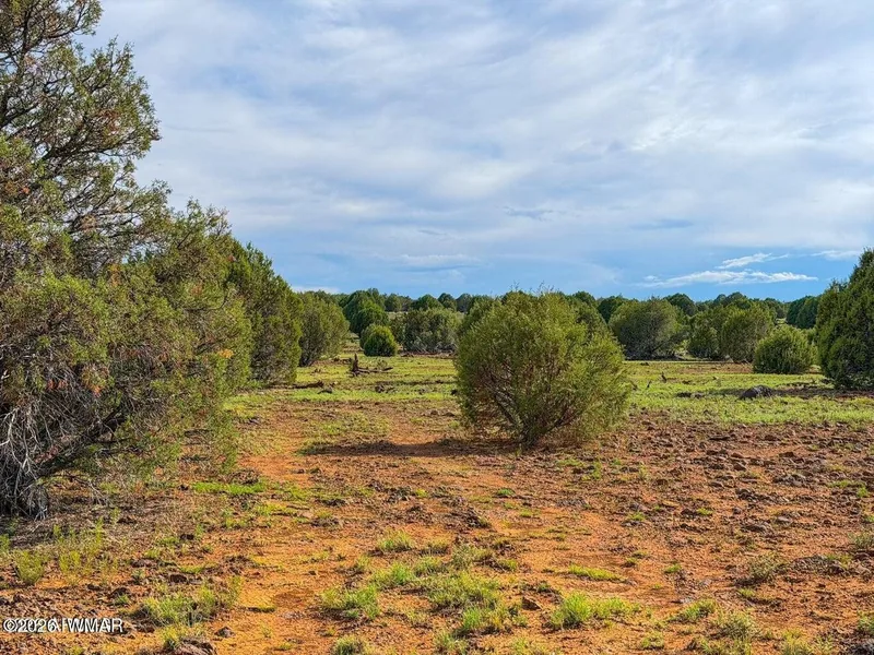 Red-dirt clearing between junipers on the parcel under a cloudy sky