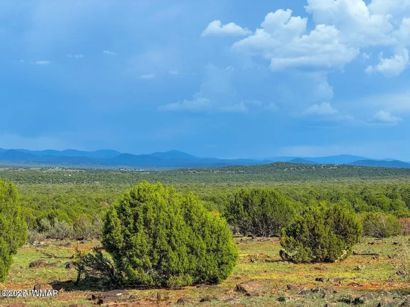 Junipers on the parcel with storm clouds over the blue ridgeline in the distance