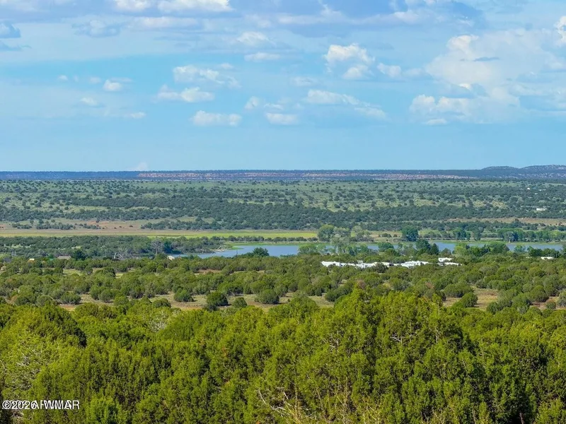 Junipers and grass on the parcel with White Mountain Lake visible in the distance