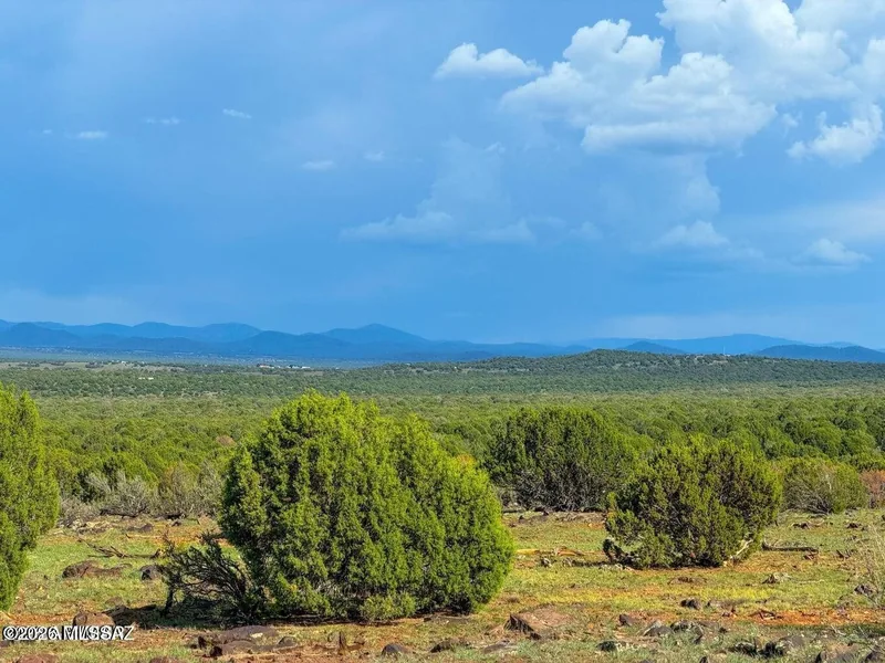 Junipers and grass on the parcel with the White Mountains on the horizon under storm clouds