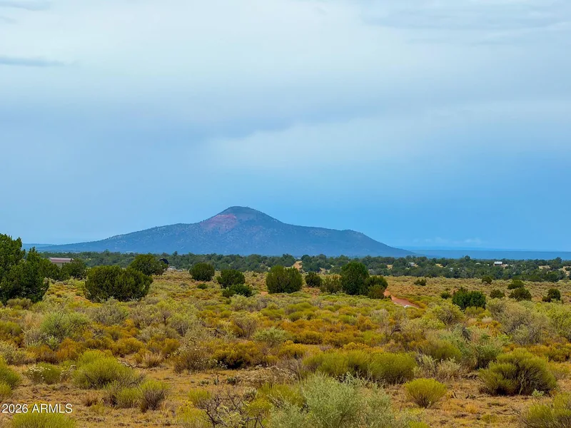 Red Butte rising above the plateau grassland, seen from the lots