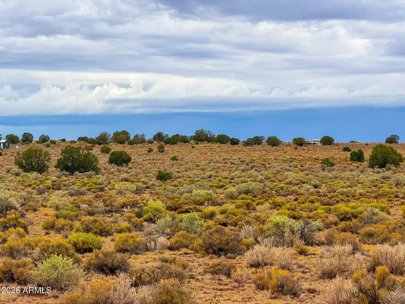 Sage and grass on the flat lot with a juniper-dotted rise behind under a cloudy sky