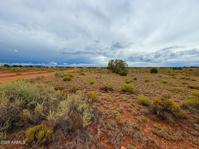 Dirt road across the grassland with sagebrush and scattered junipers on the lot