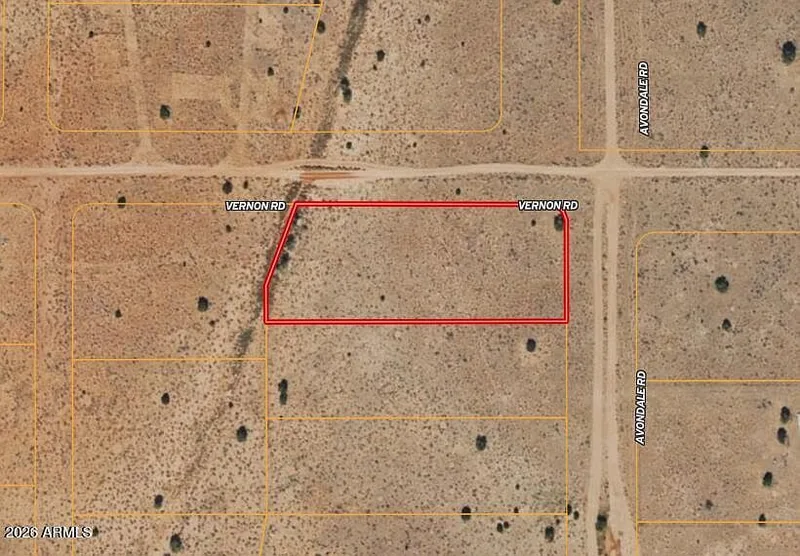 Plat map overlay showing the lot in red outline along Avondale Road with neighboring parcel lines
