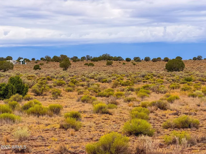Open grass and sage on the lot with a juniper ridge and storm clouds in the distance