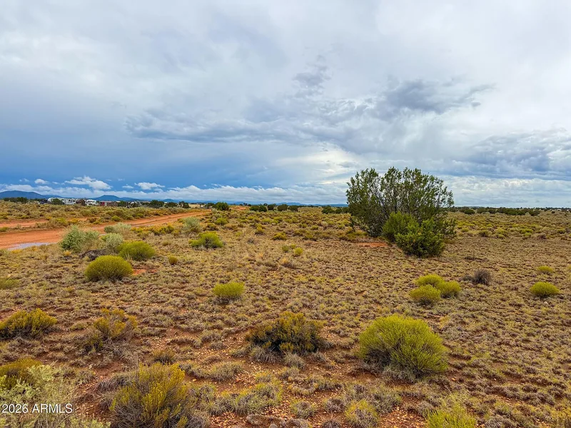Juniper and sagebrush on the lot with the plateau stretching to distant hills